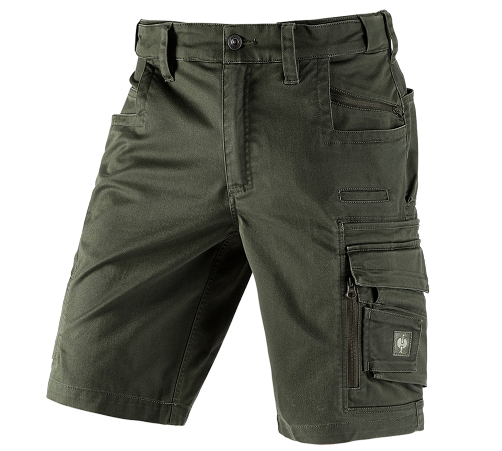 Topics: Shorts e.s.motion ten + disguisegreen