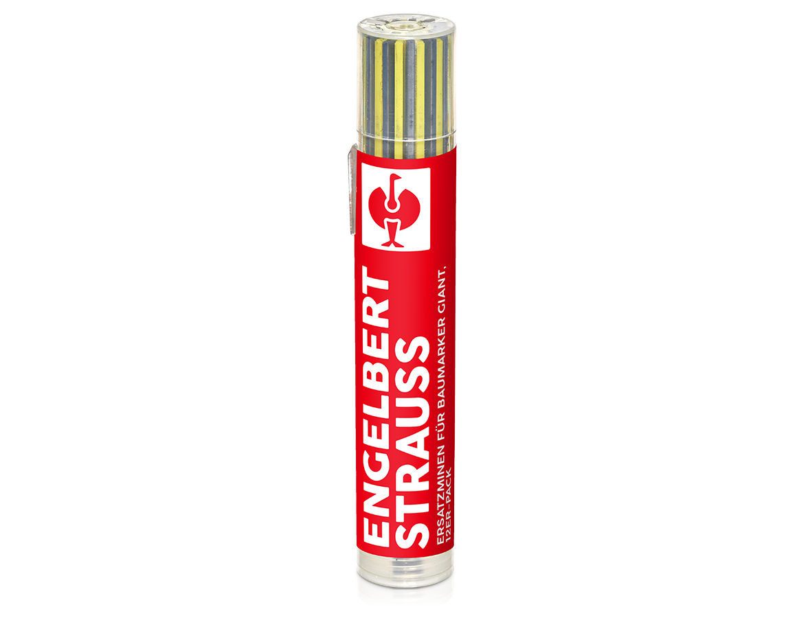 Offers of the month: Spare leads for giant, pack of 12 + graphite