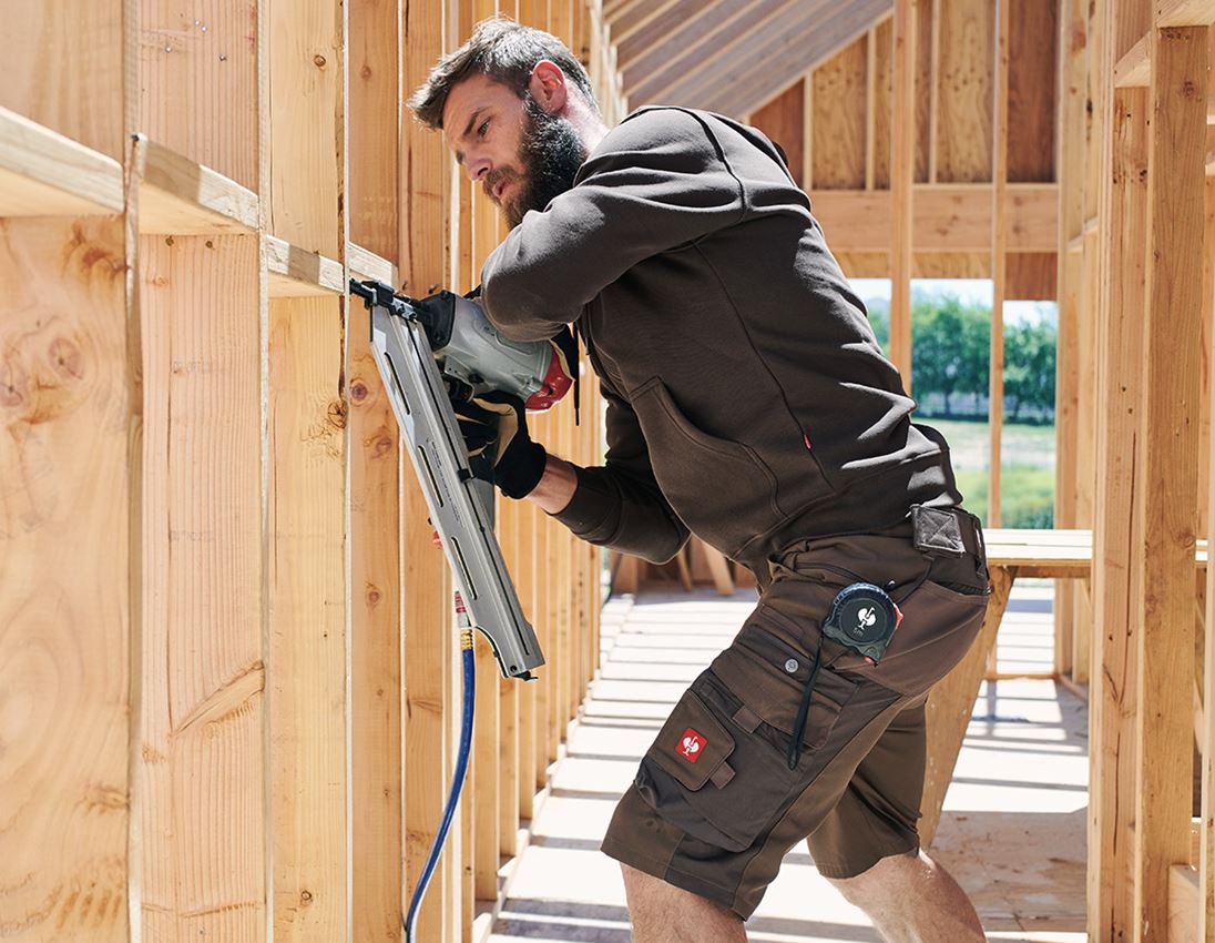 Emner: Shorts e.s.motion + hasselnød/kastanje 1