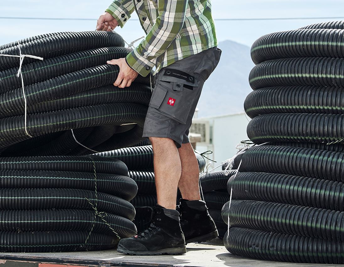 Work Trousers: Shorts e.s.roughtough + titanium