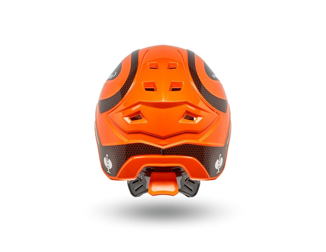 Accessories: Work safety set Protos + FREE STRAUSSbox 215 + orange/black 1