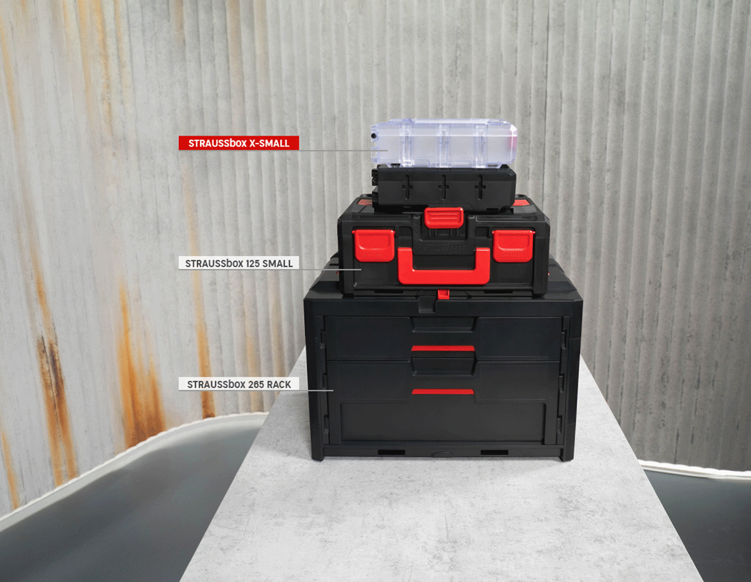 STRAUSSbox System: STRAUSSbox x-small + transparent 5