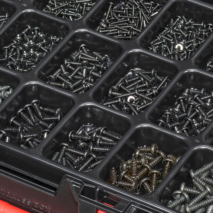 Skruer: Pladeskruer DIN 7981 sortbrunerede STRAUSSbox 2