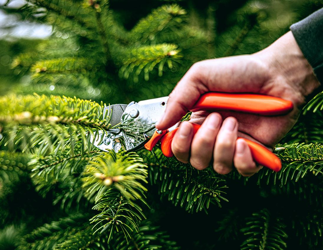 Scissors: Anvil shears Löwe 1, ergonomic