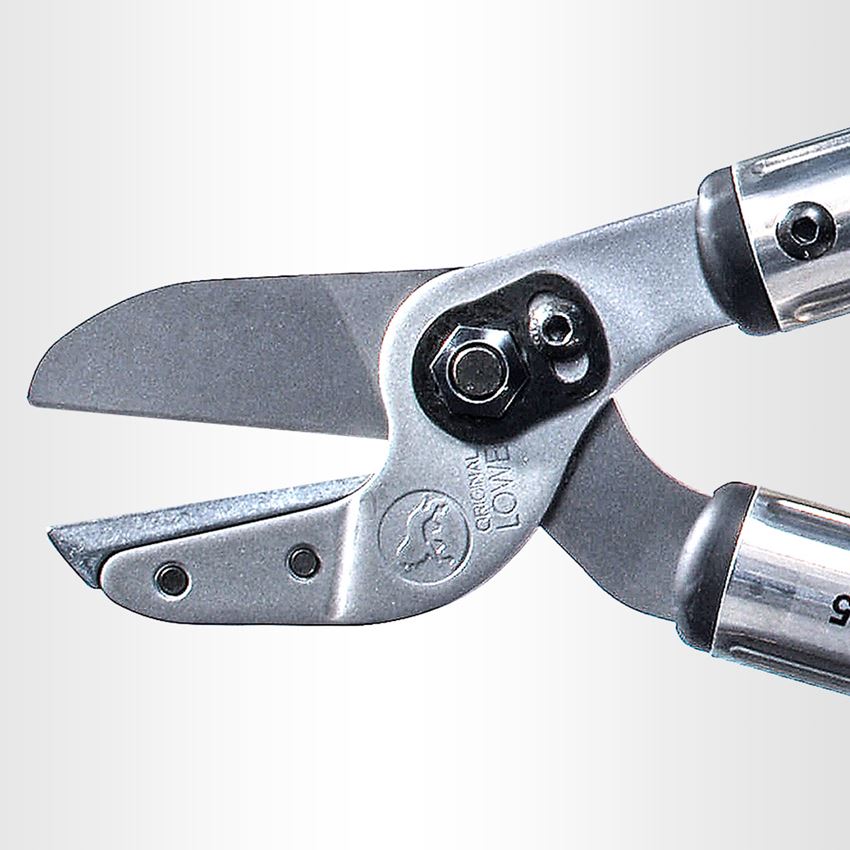 Scissors: Anvil pruning shears Löwe 20 2
