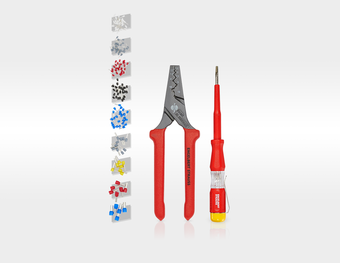 Tool Cases: Tool set Elektro Meister pro incl. tool trolley 2