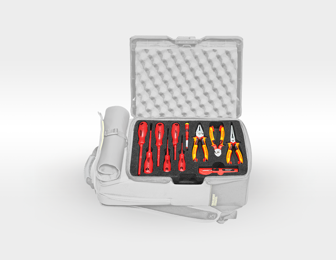 STRAUSSbox System: Værktøjsindlæg Elektro Classic 1