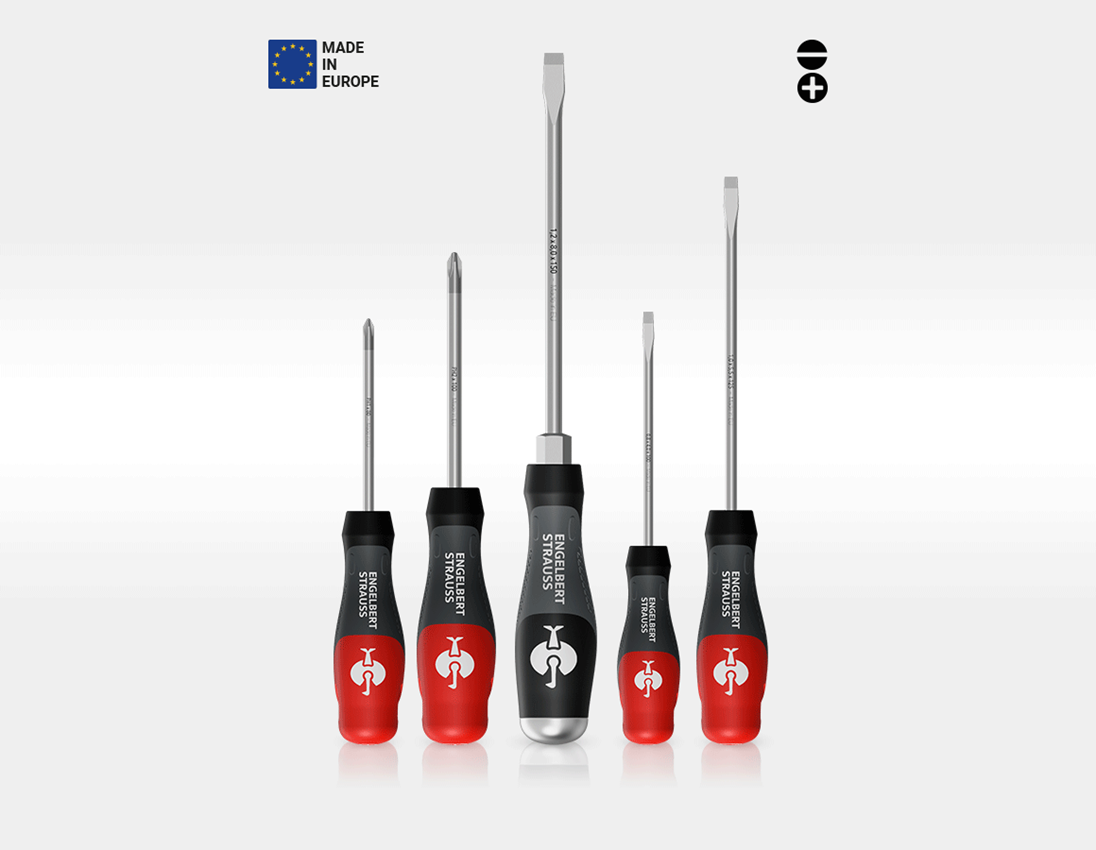 Tools: STRAUSSbox small pliers + screwdriver set 1