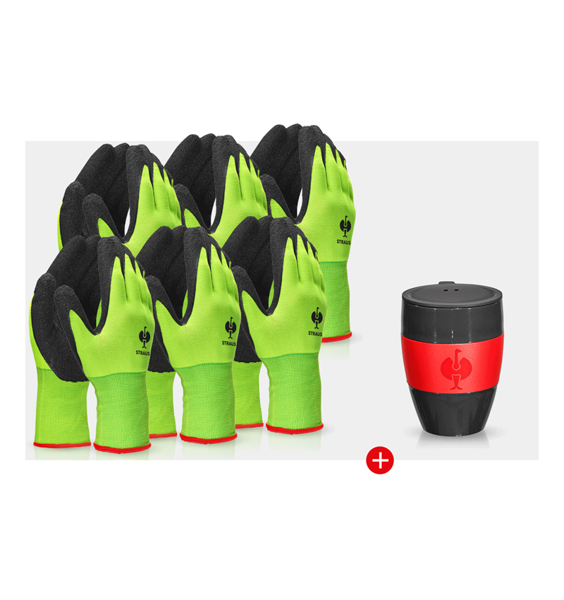 Tools and accessories: Gloves gift set I