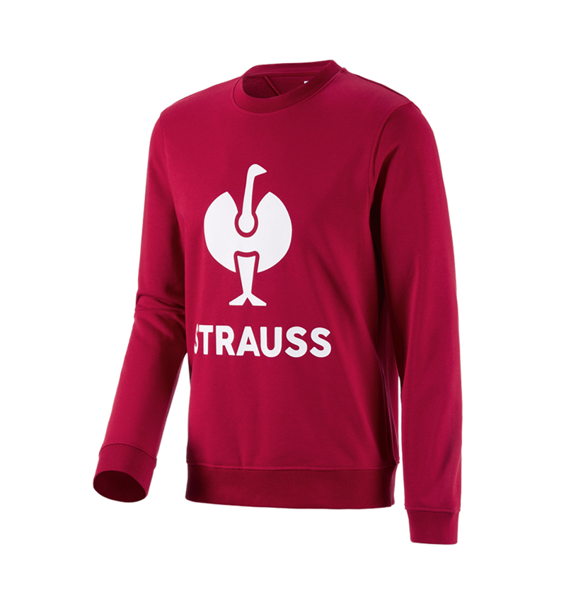 Topics: Sweatshirt e.s.motion 2020 + fiery red/white 2