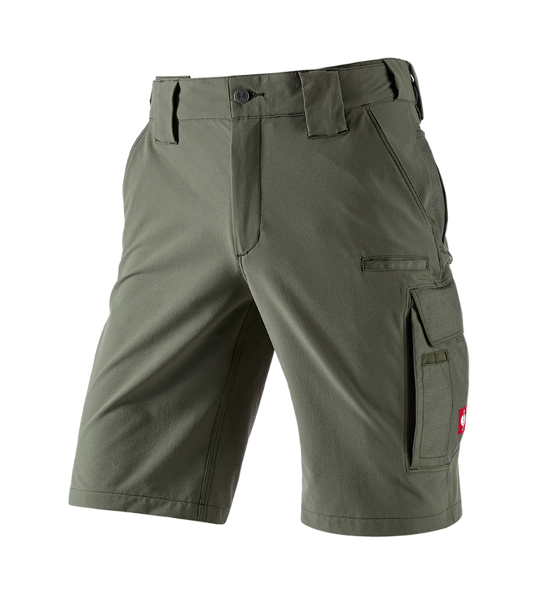 Topics: Functional short e.s.dynashield solid + thyme 5