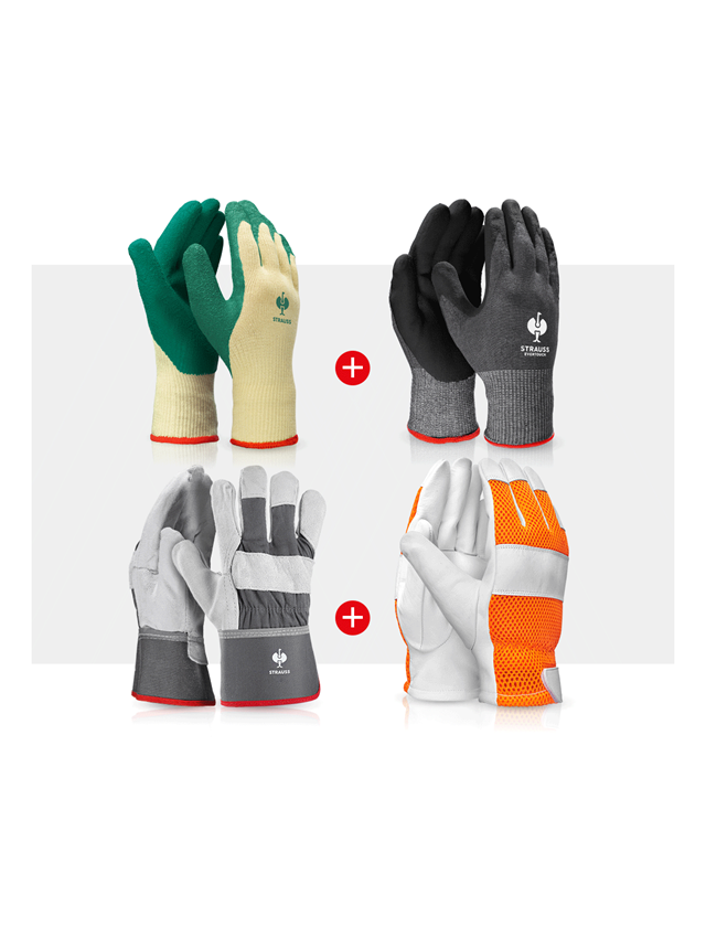 Sets | Accessories: Professional glove set agricultural sector II