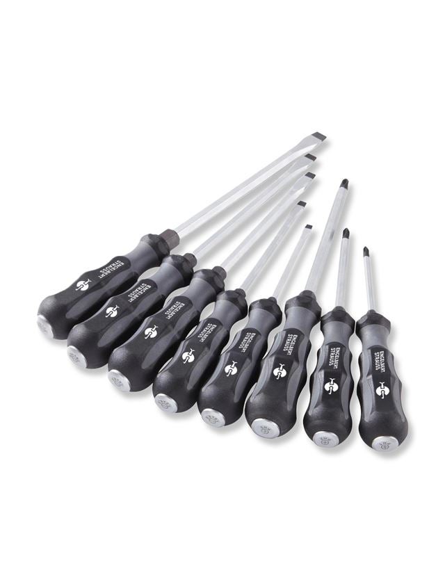 Screwdrivers: e.s. Power screwdriver set scalpro