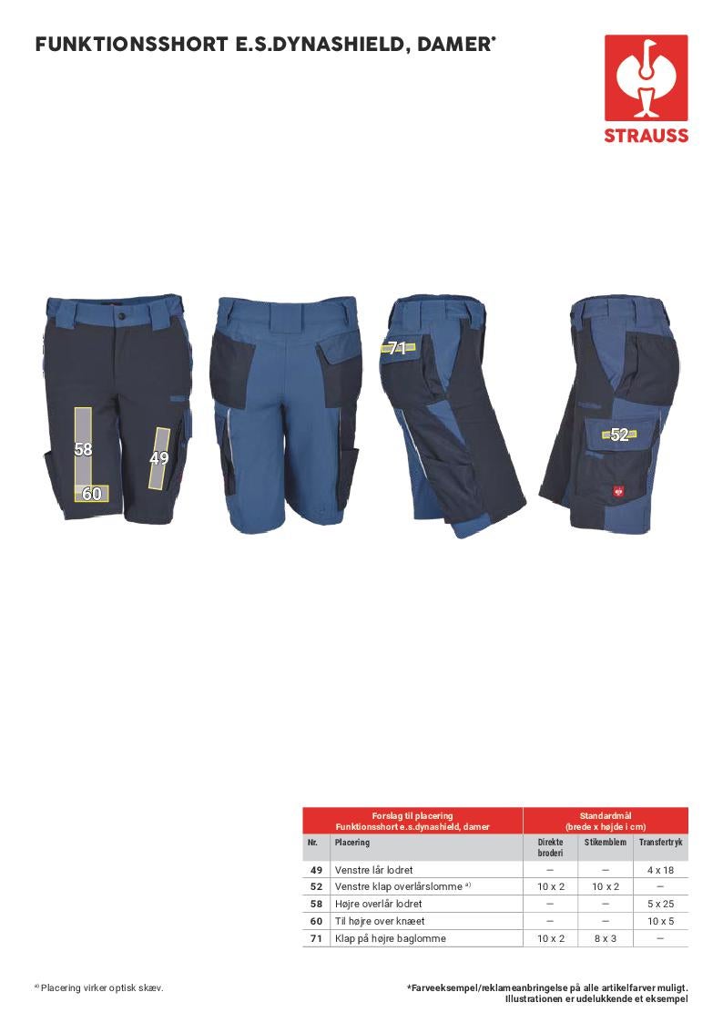 PDF icon DK