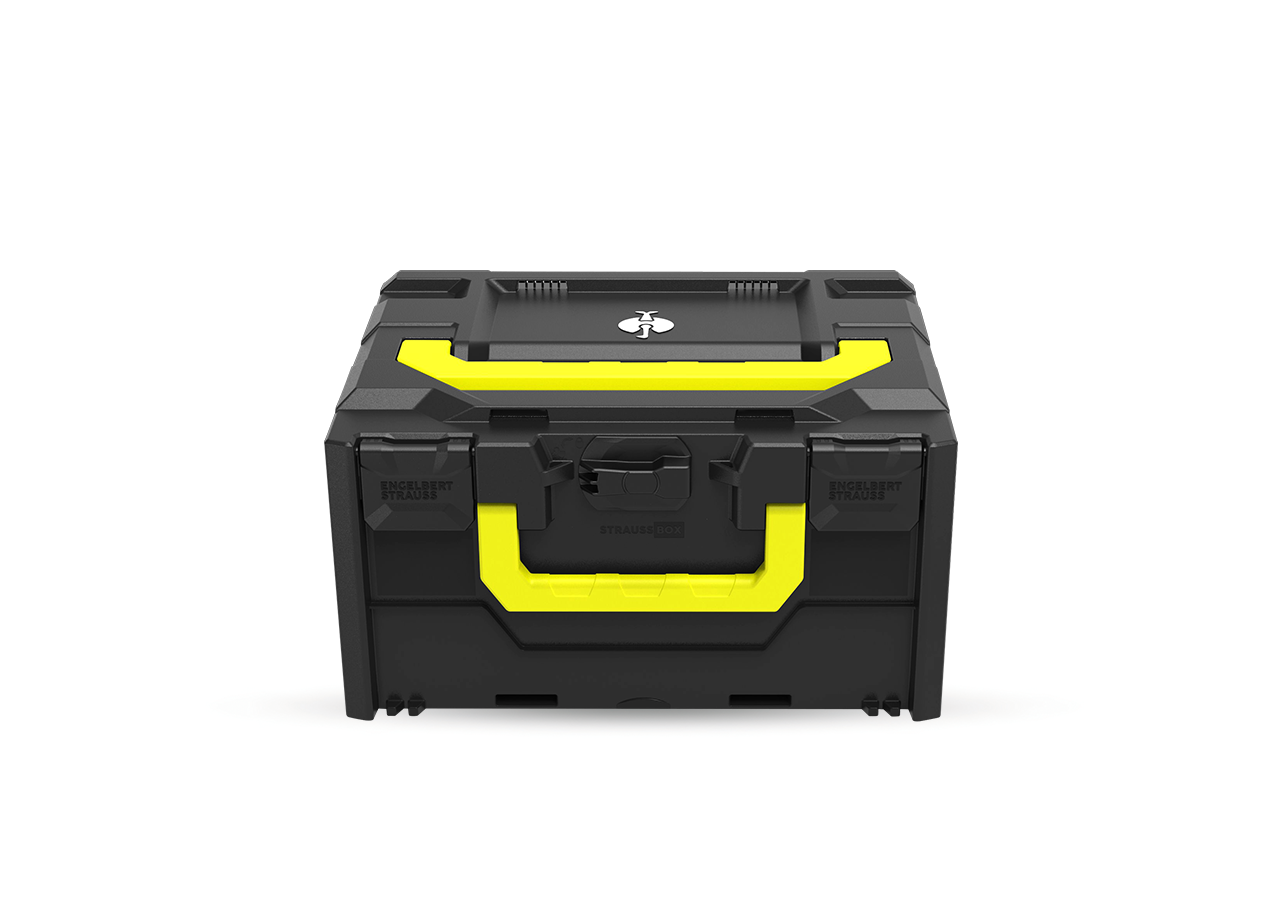 STRAUSSbox System: STRAUSSbox 215 midi Color + black