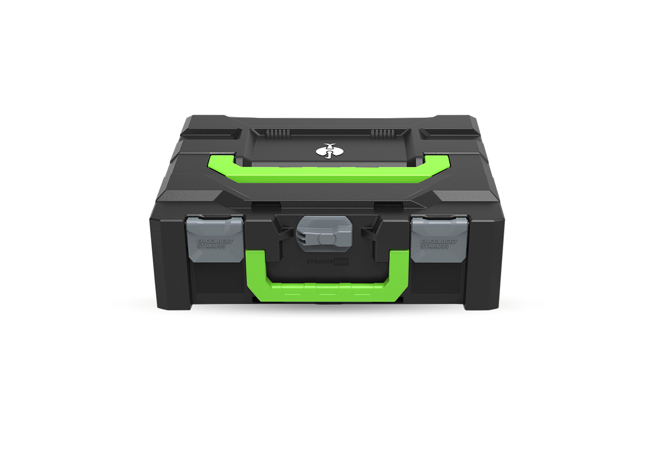 STRAUSSbox System: STRAUSSbox 145 midi+ Color + anthrazit