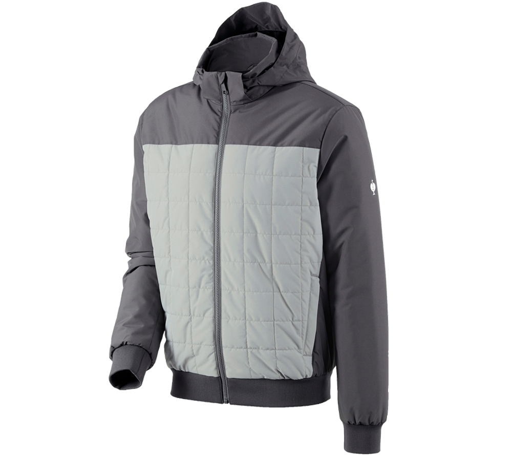 Winterjacken: Kapuzen-Pilotenjacke e.s.concrete + anthrazit/perlgrau