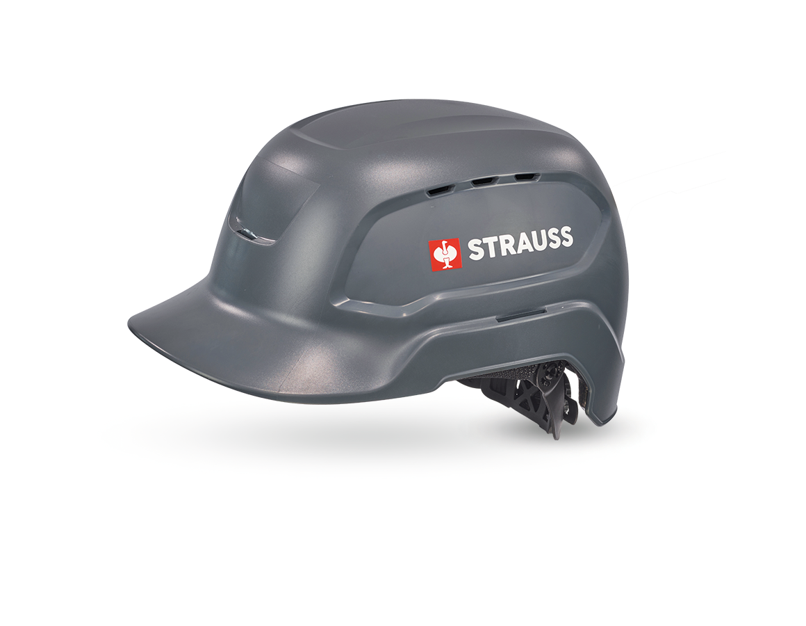 Schutzhelme: e.s. Arbeitshelm worker + grau