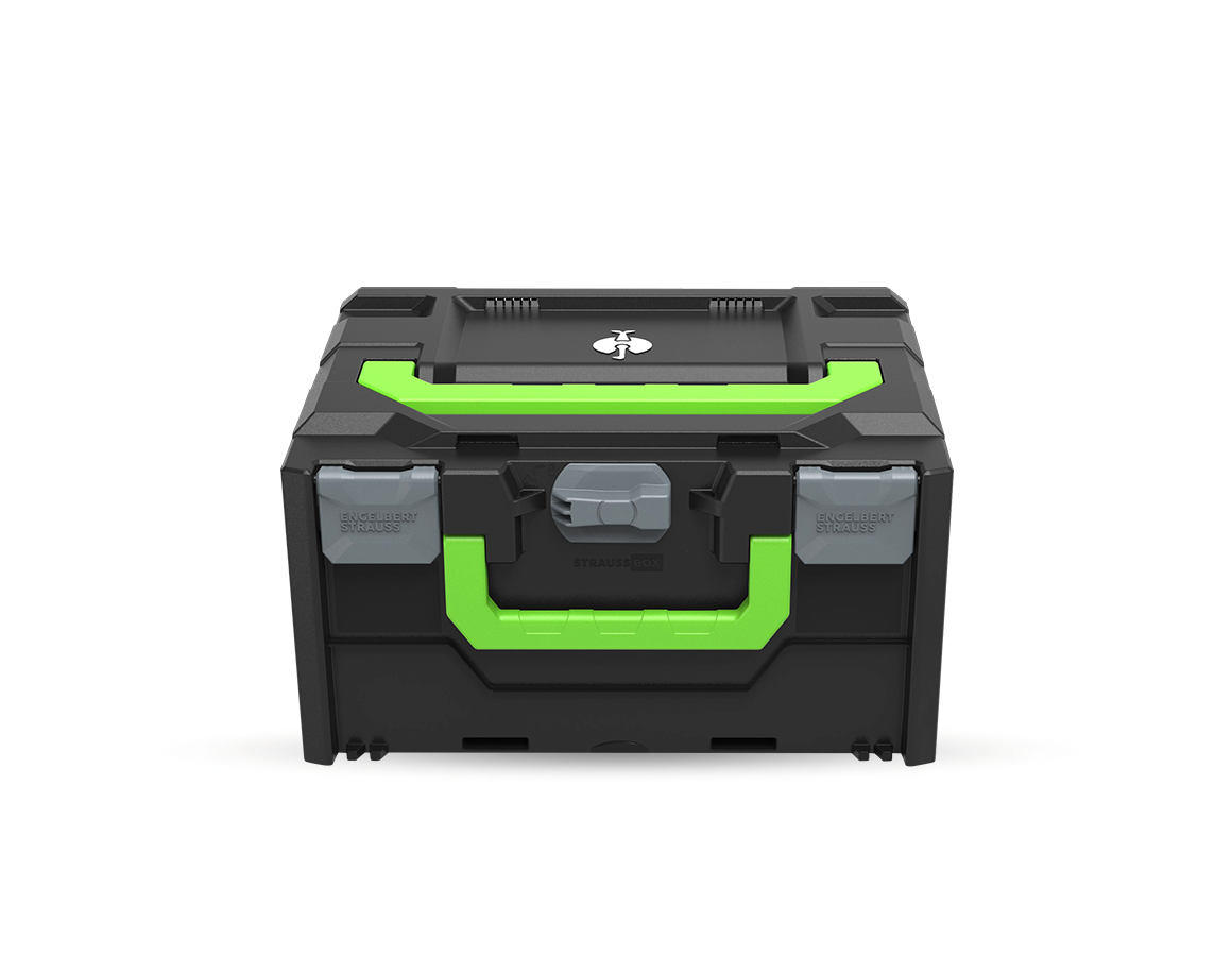 STRAUSSbox System: STRAUSSbox 215 midi Color + anthrazit