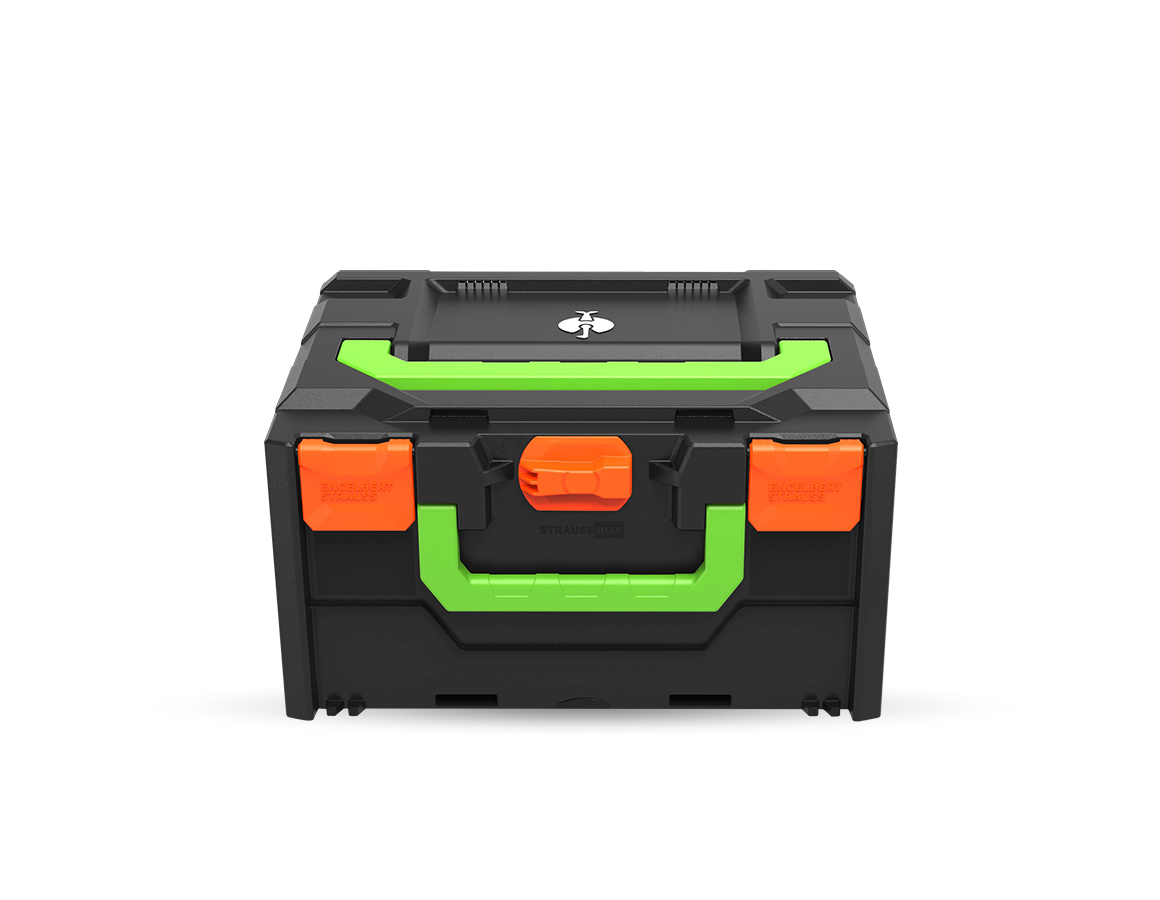 STRAUSSbox System: STRAUSSbox 215 midi Color + warnorange