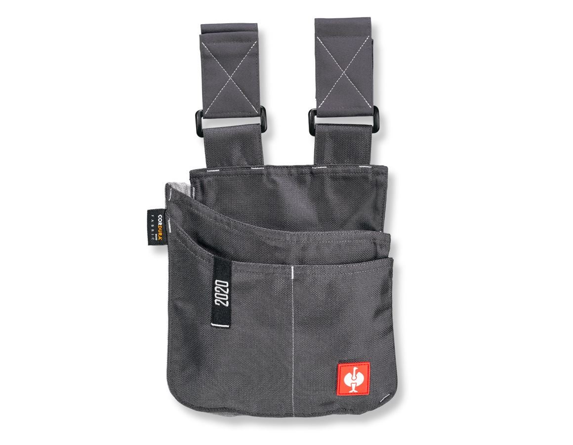 Accessoires: Werkzeugtasche e.s.motion 2020, mittel + anthrazit/platin