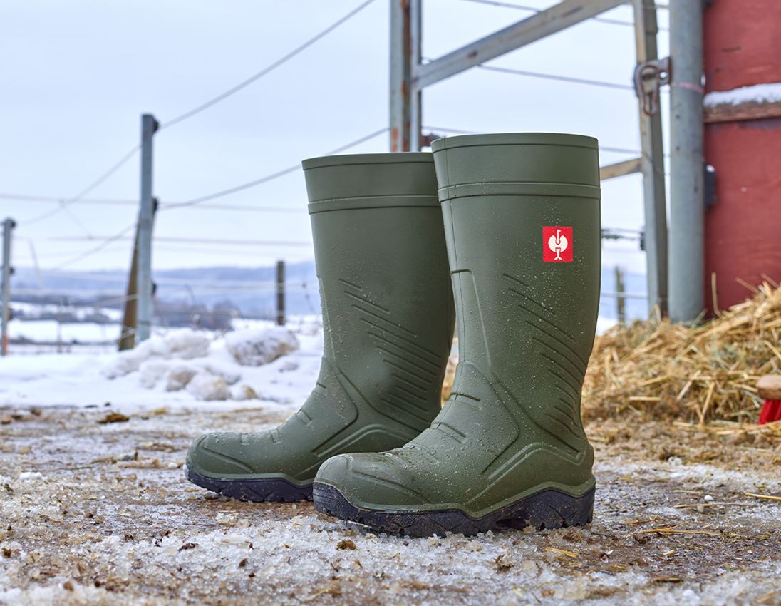 Winter shoes: S5 Safety boots e.s. Lenus + thyme