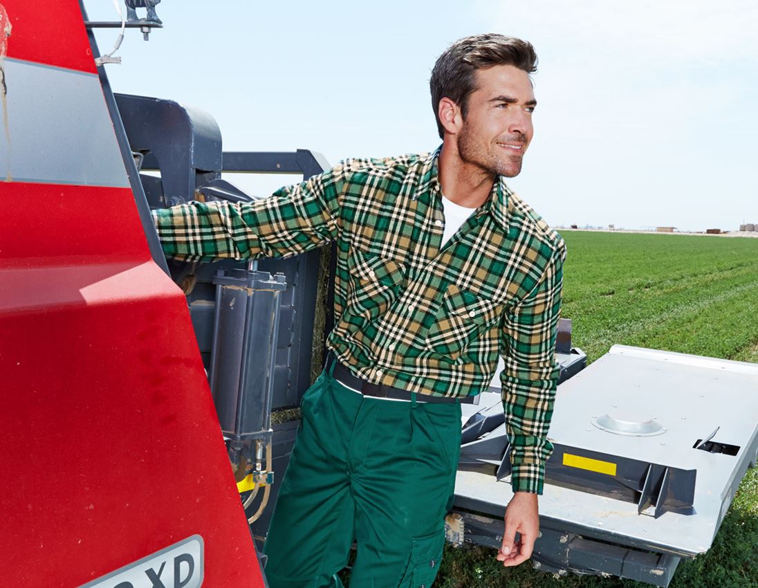Shirts & Co.: Baumwoll-Hemd Bergen, extra lang + grün/schwarz/gips