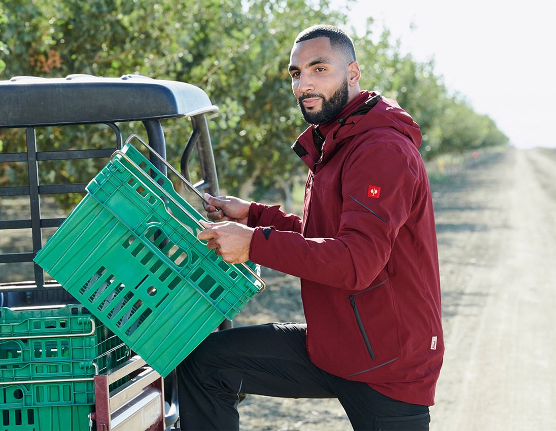 Winter jackets: 3 in 1 functional jacket e.s.vision, men's + ruby