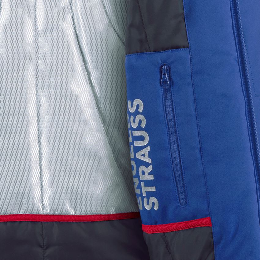 Work Body Warmer: Softshell bodywarmer e.s.motion + royalblue/black 2