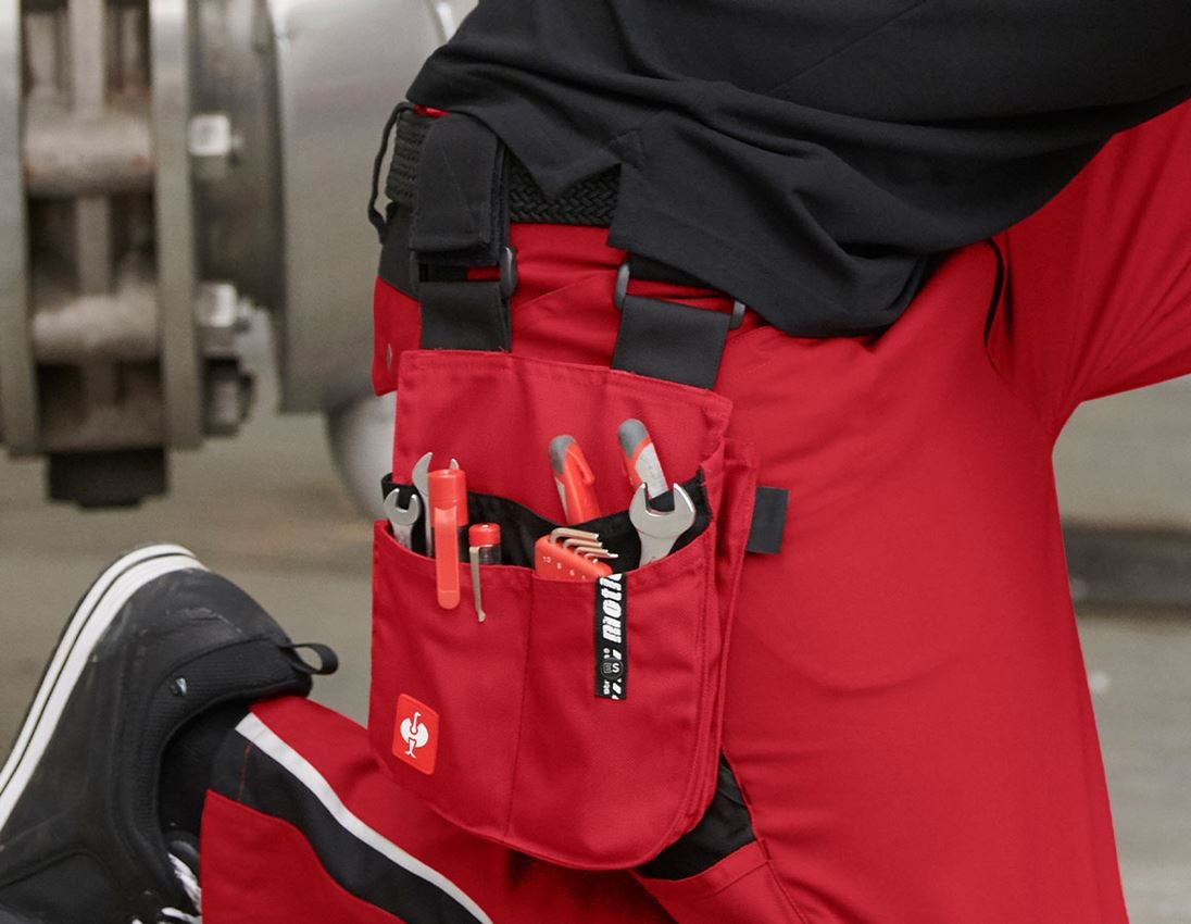 Accessoires: Workertasche e.s.motion + rot/schwarz