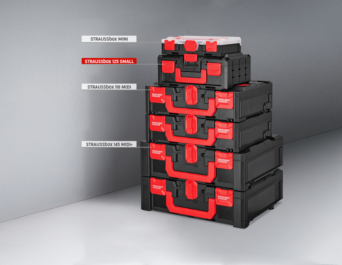 STRAUSSbox System: STRAUSSbox 125 small incl. separating bridges + black 6