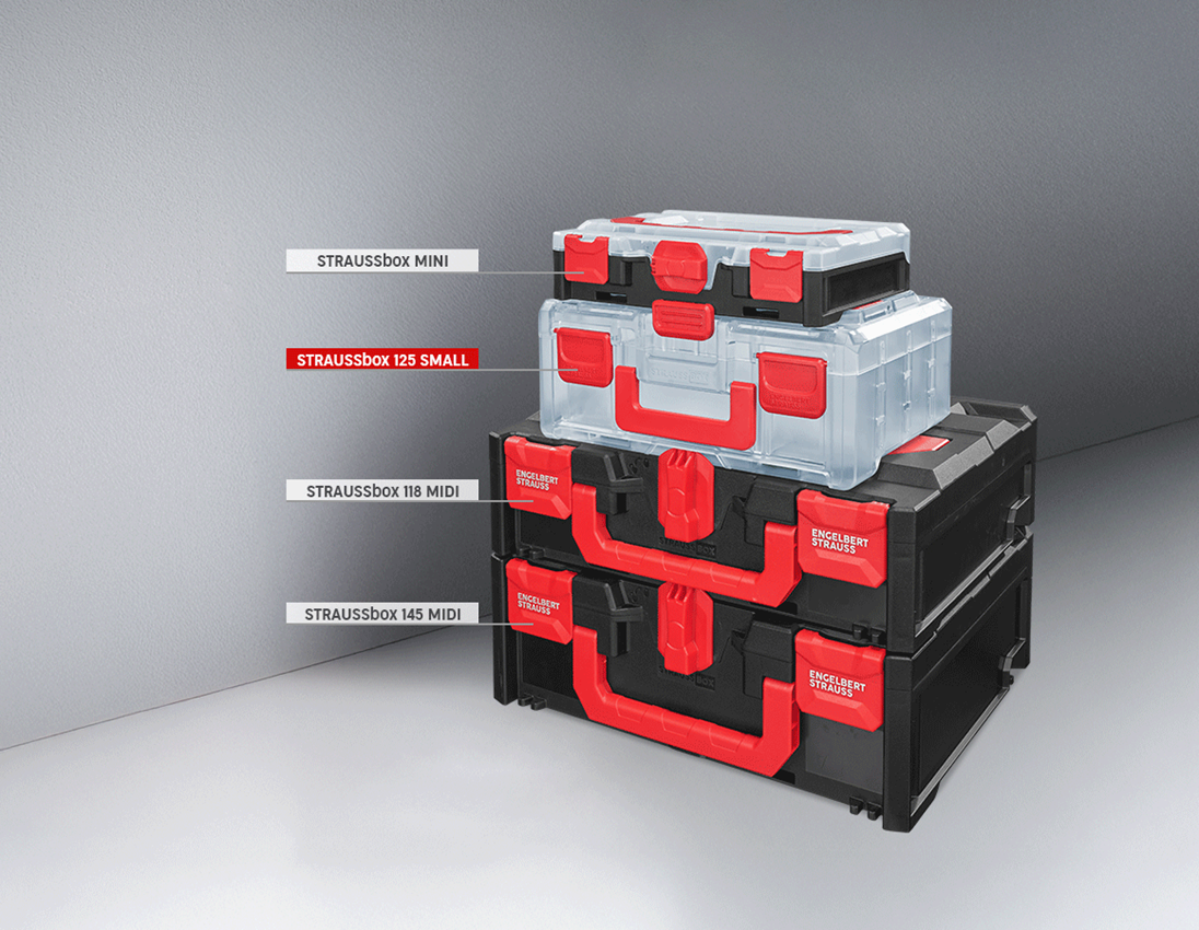 STRAUSSbox System: STRAUSSbox 125 small incl. separating bridges + transparent 4