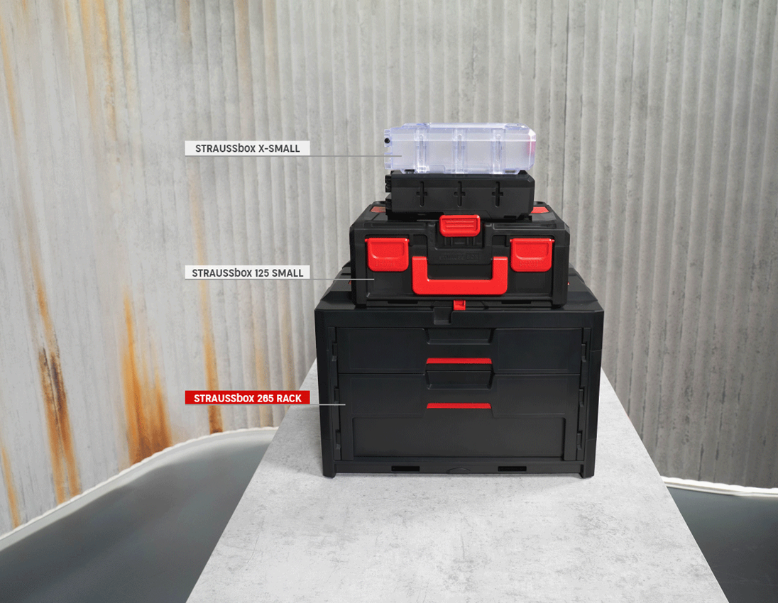 STRAUSSbox System: STRAUSSbox 265 Rack 6