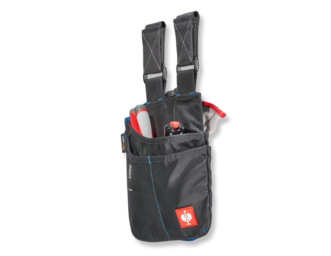 Accessoires: Werkzeugtasche e.s.motion 2020, mittel + graphit/enzianblau