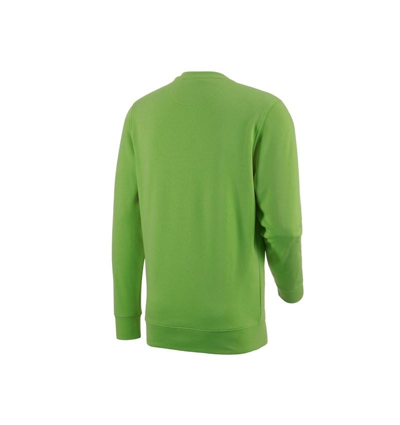 Shirts & Co.: e.s. Sweatshirt poly cotton + seegrün 3
