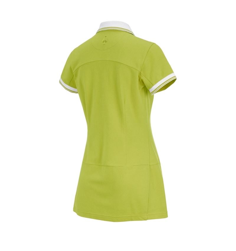 Shirts & Co.: Piquékleid e.s.avida + maigrün 3