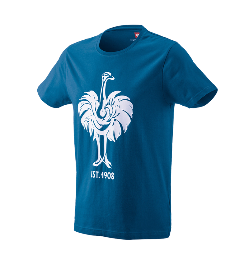 Topics: e.s. T-shirt 1908 + atoll/white 1