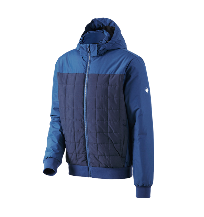 Winter jackets: Hooded pilot jacket e.s.concrete + alkaliblue/deepblue 3