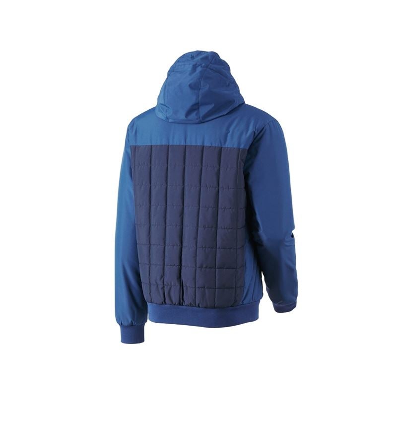 Winter jackets: Hooded pilot jacket e.s.concrete + alkaliblue/deepblue 4