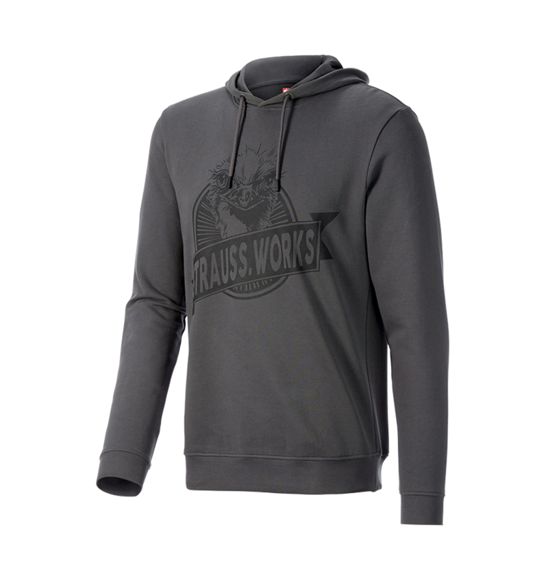 Themen: Hoody-Sweatshirt e.s.iconic works + carbongrau 3