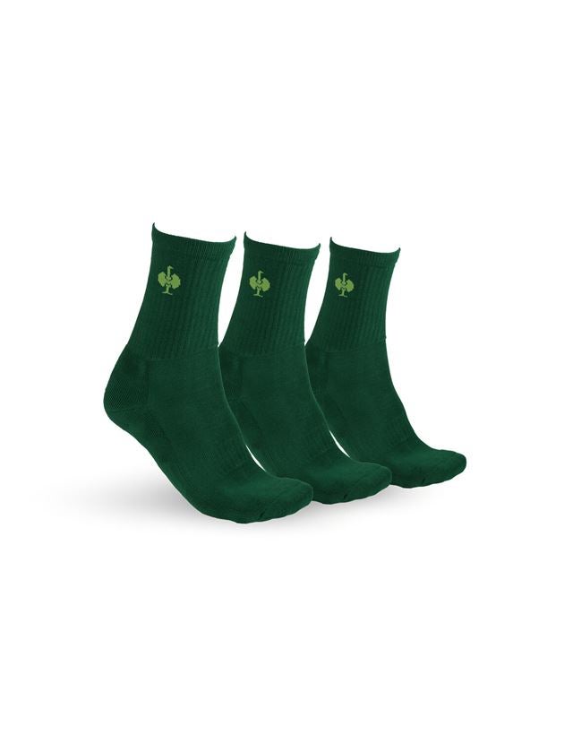 Socks: e.s. Allround socks Classic light/high, pack of 3 + green/seagreen