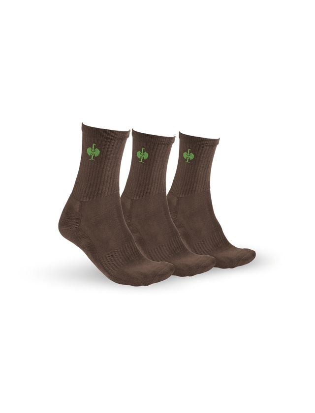 Socks: e.s. Allround socks Classic light/high, pack of 3 + chestnut/seagreen