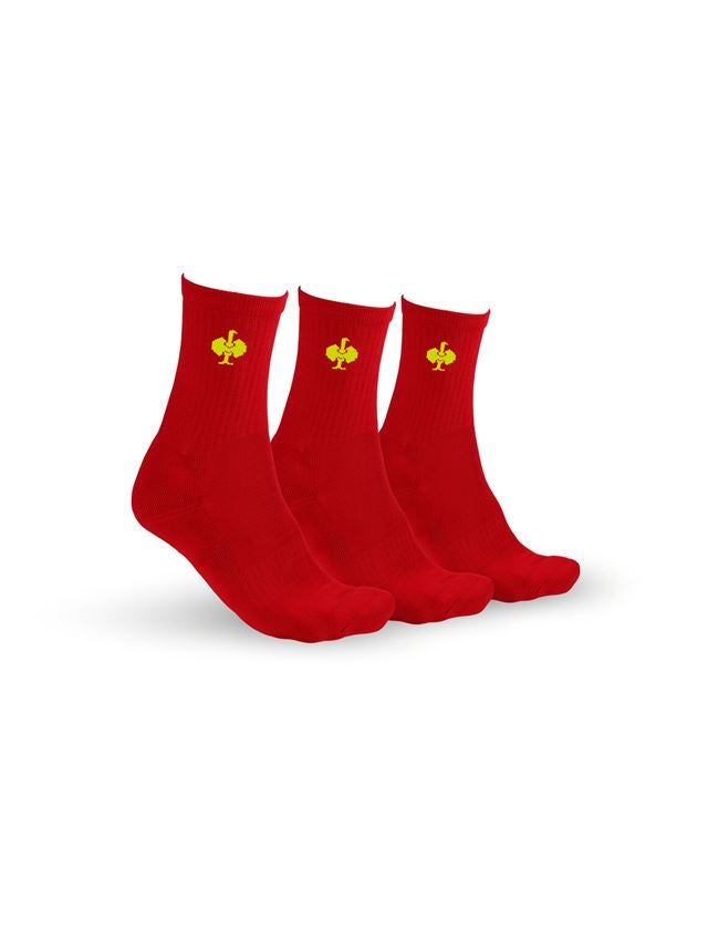 Socks: e.s. Allround socks Classic light/high, pack of 3 + fiery red/high-vis yellow