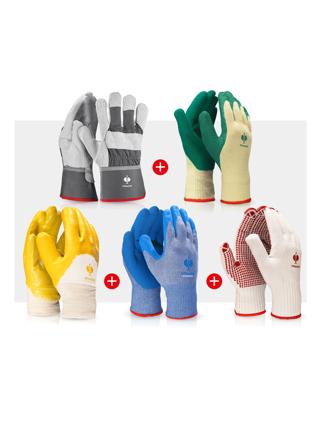Arbeitsschutz: Handschuh- Profi Set Bau