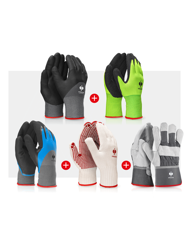 Arbeitsschutz: Handschuh-Profi-Set Garten II