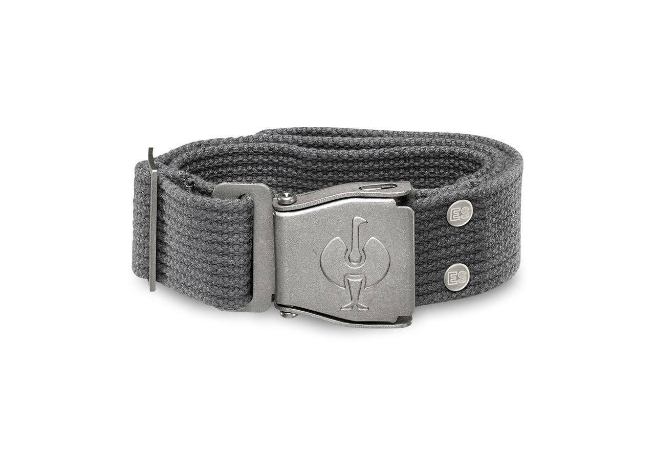 Accessories: Belt e.s.motion + anthracite