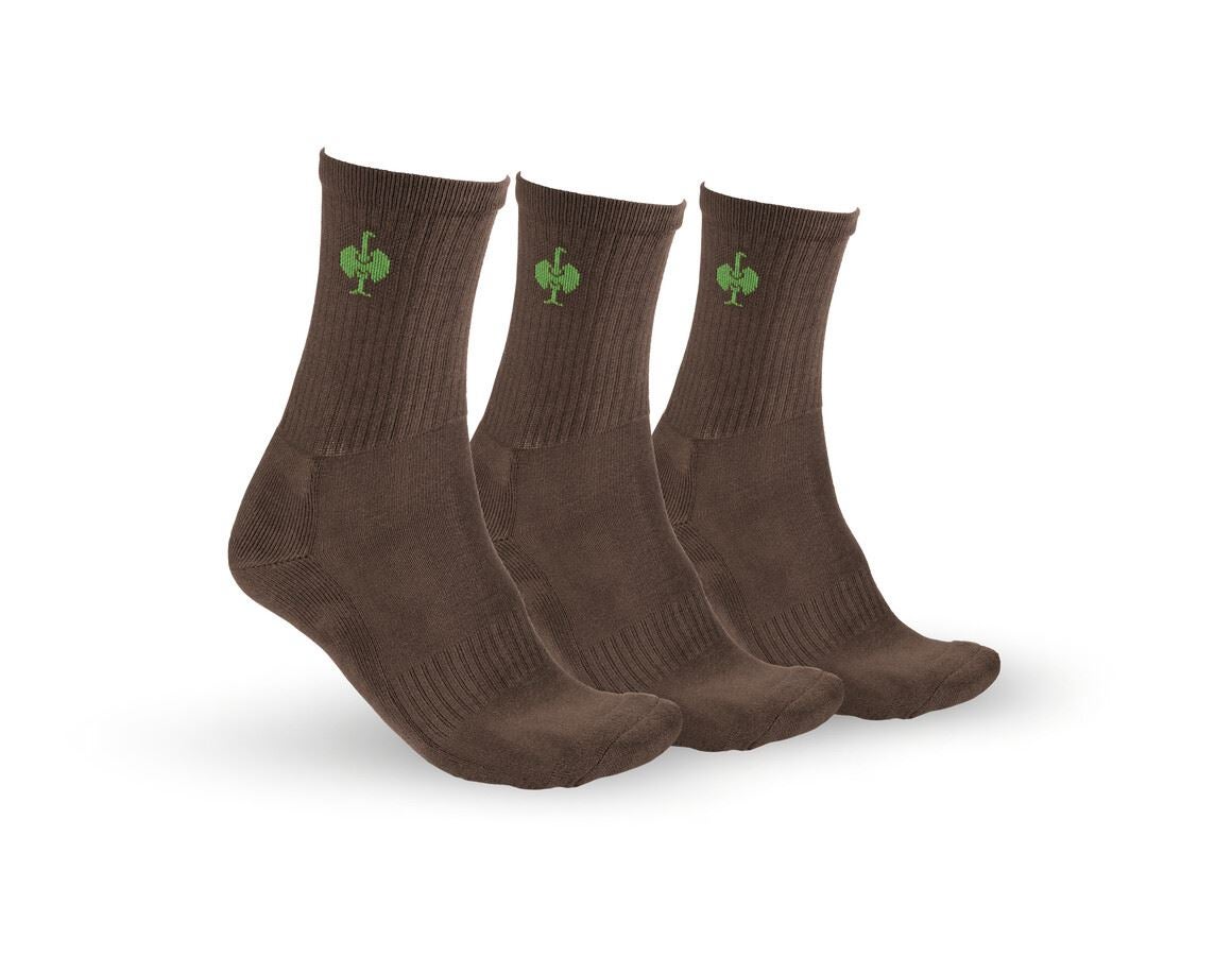 Chaussettes | Bas: e.s. Chaussettes Allround Classic light/high,lot 3 + marron/vert d'eau
