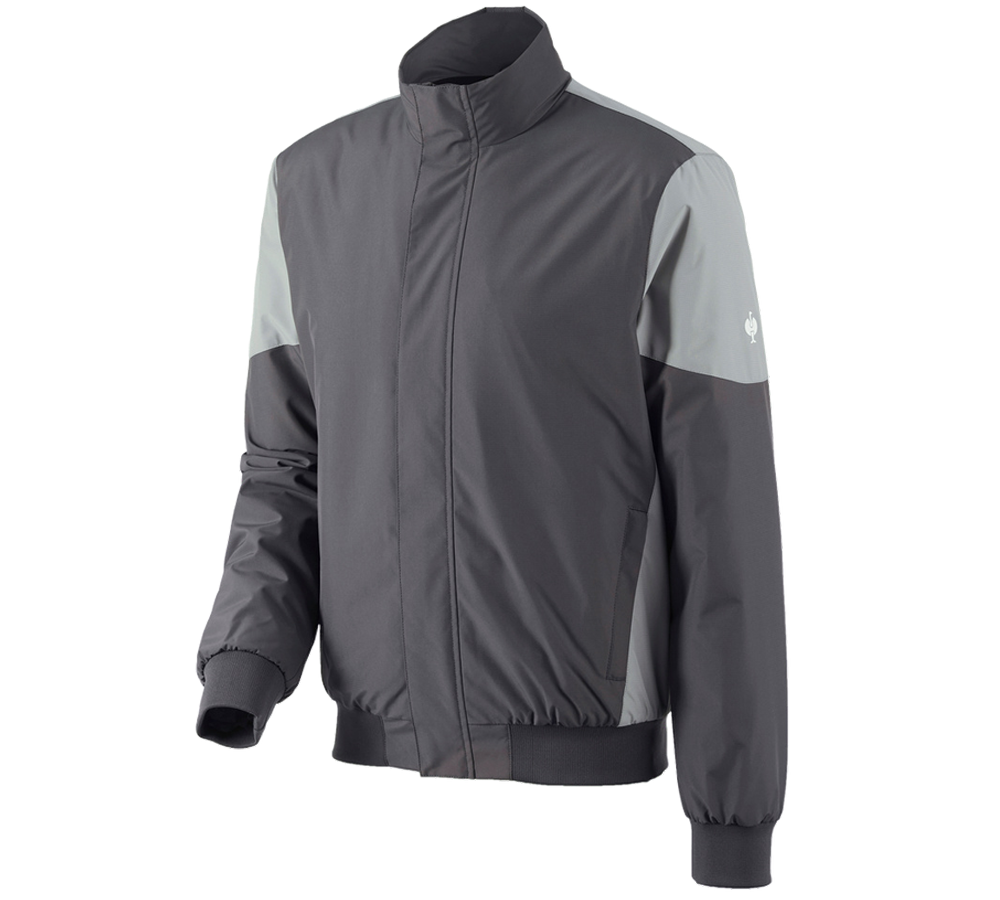 Vestes de travail: Blouson aviateur e.s.concrete + anthracite/gris perle