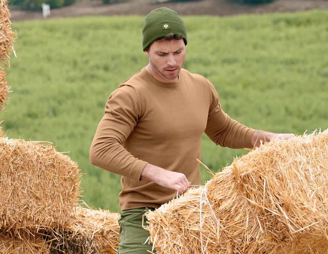 Hauts: Pullover à col rond e.s.iconic + brun amande 6