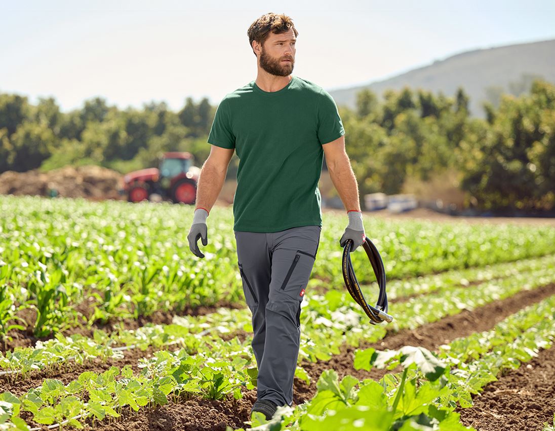 Topics: Cargo trousers e.s.vision stretch, men's + grey/black 2